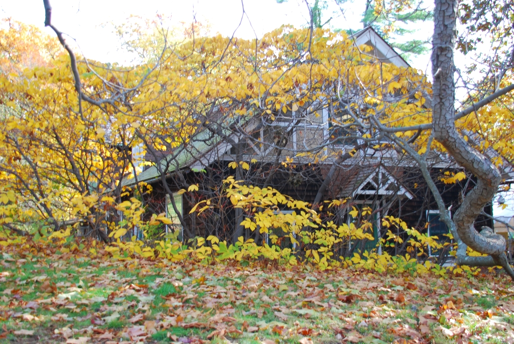 DSC_4848.JPG